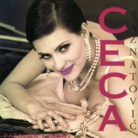 Znam - Ceca Raznatovic
