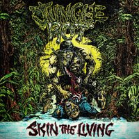 Destruction and Misery - Jungle Rot