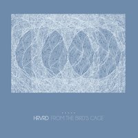 New Information - HRVRD