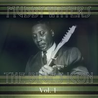 She's Allright - Muddy Waters