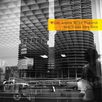 More like the Moon - Wilco