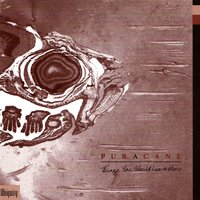 Summertime Rolls - Puracane