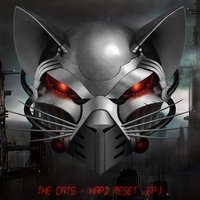 Kill Me Softly - The Cats