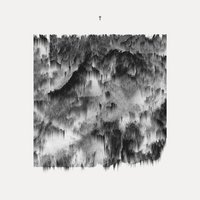 Fool - JMSN