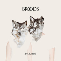Evergreen - BROODS