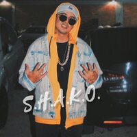 Me Estoy Enamorando - Shako