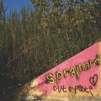 Different Cat, Same Results - Spraynard