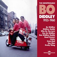 Downhome Special - Bo Diddley