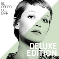 Coming Down The Hill - El Perro Del Mar