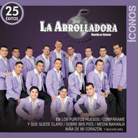 Metiendo Las Patas - La Arrolladora Banda El Limón De René Camacho