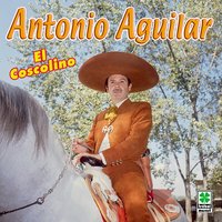 La Mal Sentada - ANTONIO AGUILAR
