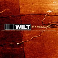 Broken Glass - Wilt