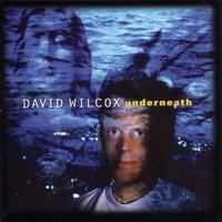 Underneath - David Wilcox