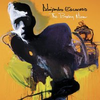The Ladder - Alejandro Escovedo