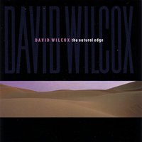 Our Town - David Wilcox