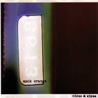 Paper - Mock Orange