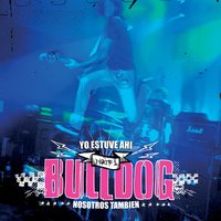 3ro D - Bulldog