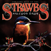 Shine On Silver Sun - Strawbs