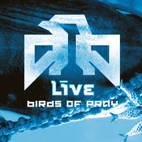 Sweet Release - Live