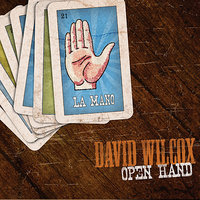 Captain Wanker - David Wilcox