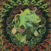 Swallow - Circulus