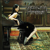 The Wreckage - Vanessa Carlton