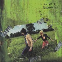 I Feel Love - The Mr. T Experience