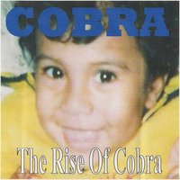 As I Stang - Cobra