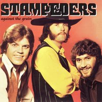 Gator Road - Stampeders