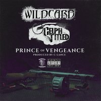 WILDCARD