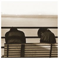 Nervous System - Metz