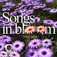Butterflies - Vitamin A
