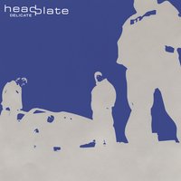 Delicate - Headplate