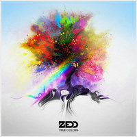 Bumble Bee - Zedd, Botnek