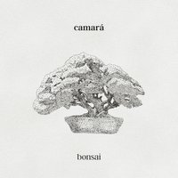 Gracias - Camara