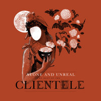 From a Window - The Clientele
