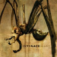 Pandora - Interlace