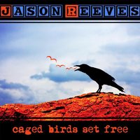 Bicycle - Jason Reeves