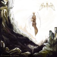 Moonflower - Angellore