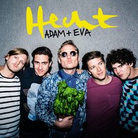 Alti Songs - Hecht