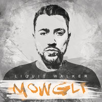 Lichtermeer - Liquit Walker