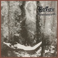 Lysergic Communion - WarHorse