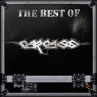 Incarnated Solvent Abuse - Carcass