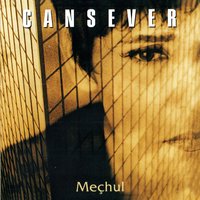 Olmaz Olsun - Cansever