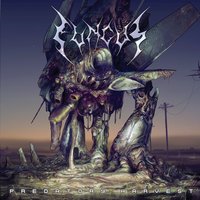 Nano Execution - Fungus