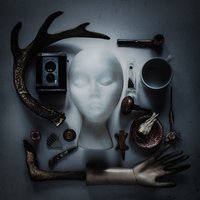Devil Throw Roses - Shayfer James