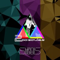 Šis Laiks - Janis Stibelis