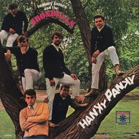 The Lover - Tommy James