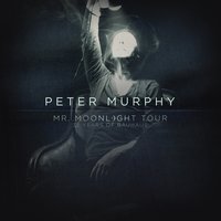 Hollow Hills - Peter Murphy