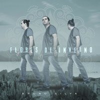 A Visão - Bruno Silva